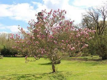 Chateau De La Touche Bed & Breakfast Savigny-Levescault Luaran gambar